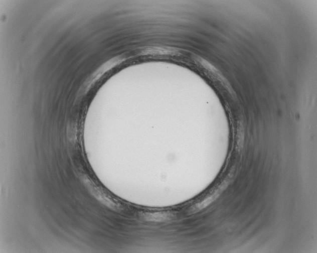 X0000086111017200704202300