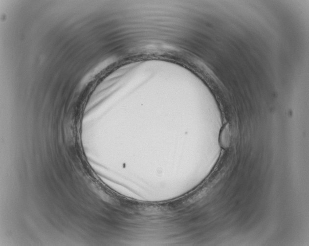 X0000086111018200704202300