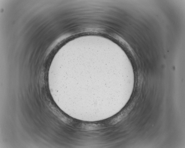 X0000086111019200704202300