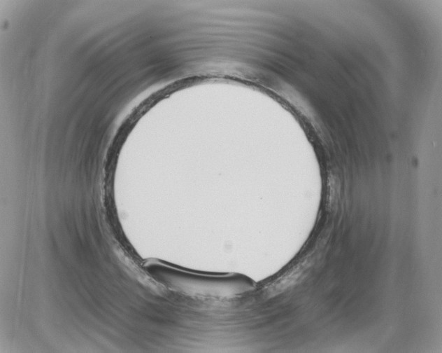 X0000086111020200704202300