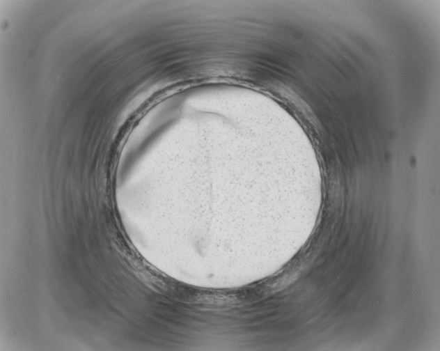 X0000086111023200704202300