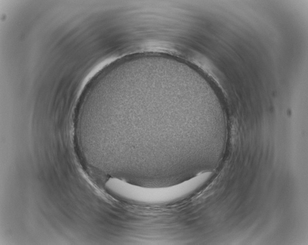 X0000086111024200704202300