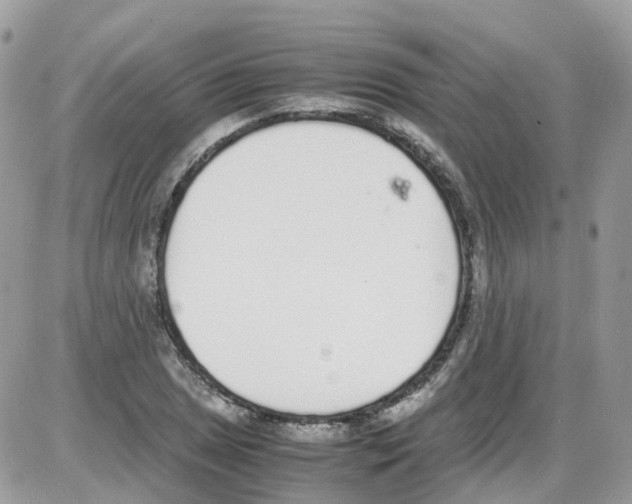 X0000086111025200704202300