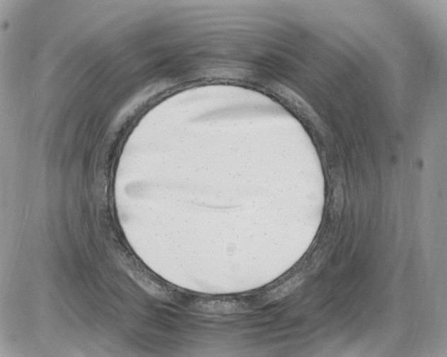 X0000086111027200704202300