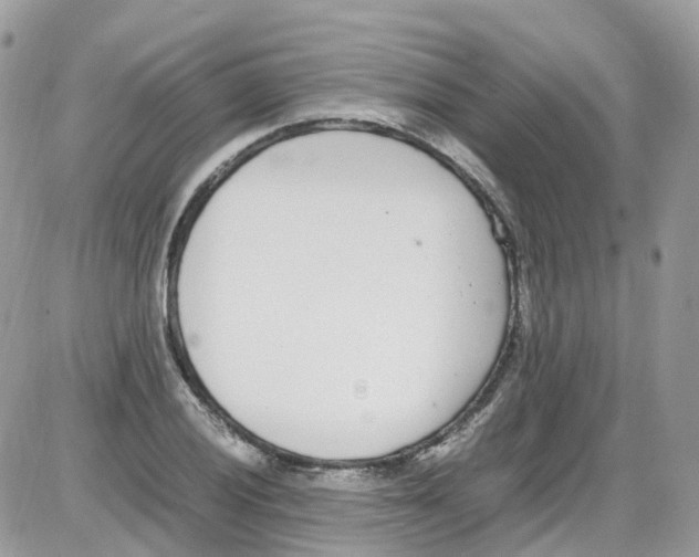 X0000086111028200704202300