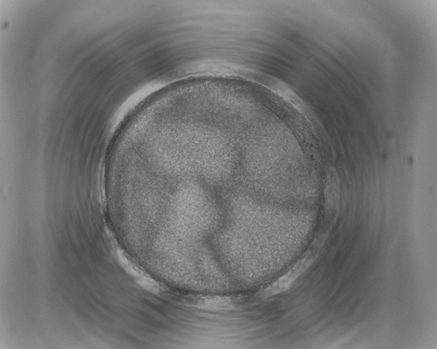 X0000086111030200704202301