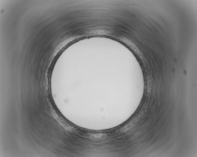 X0000086111031200704202301