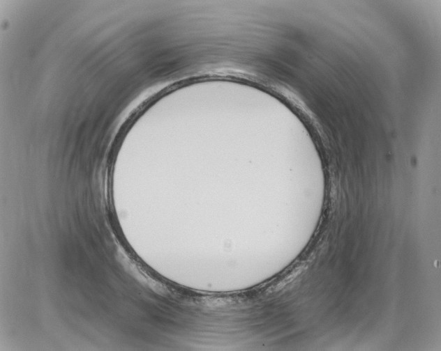 X0000086111032200704202301