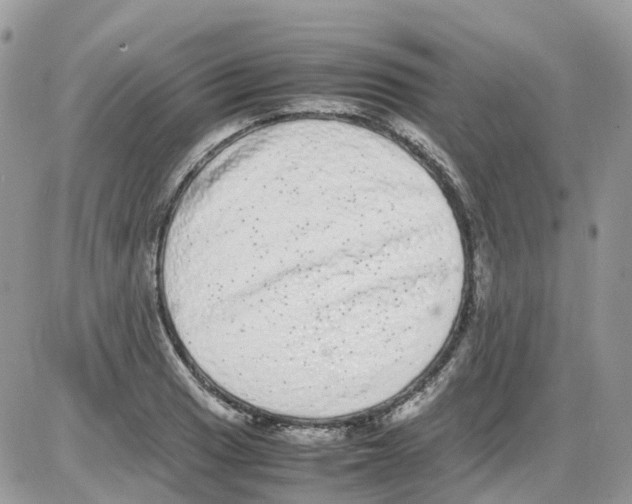 X0000086111033200704202301