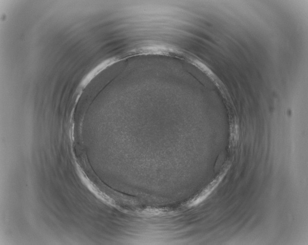 X0000086111034200704202301