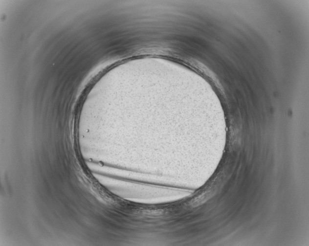 X0000086111035200704202301