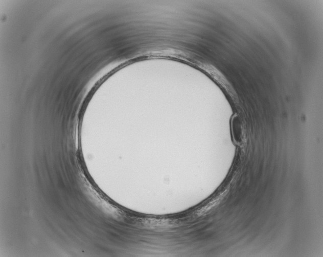 X0000086111036200704202301