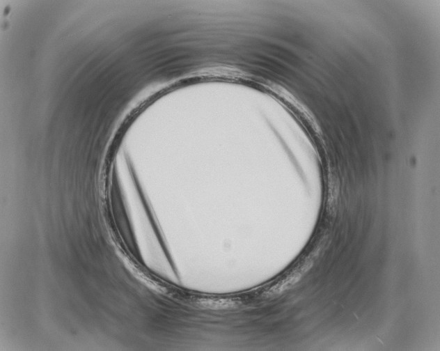 X0000086111037200704202301