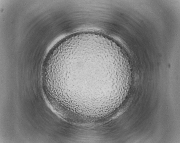 X0000086111038200704202301