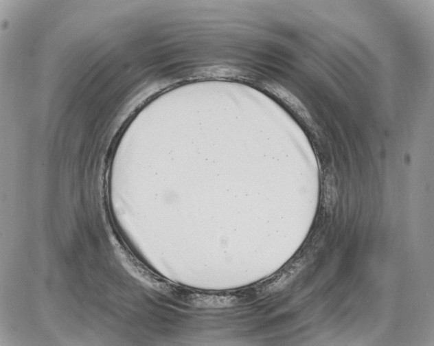 X0000086111039200704202301