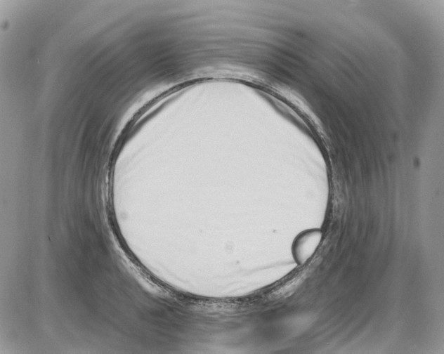 X0000086111040200704202301