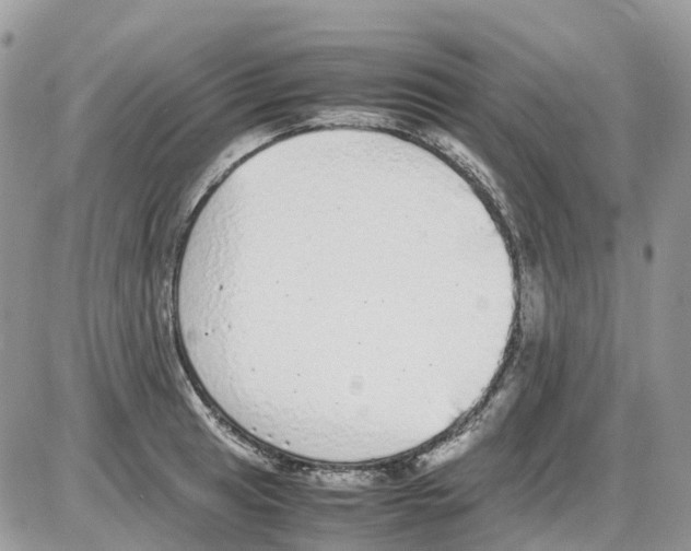 X0000086111041200704202301