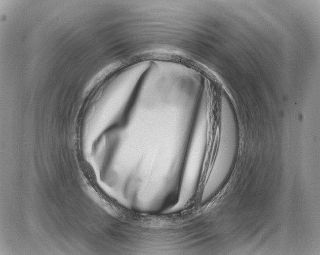 X0000086111042200704202301