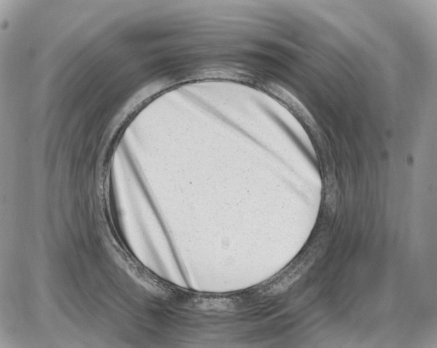 X0000086111043200704202301