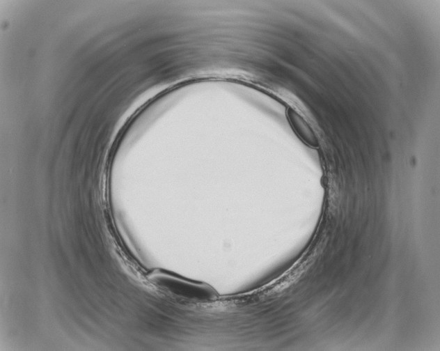 X0000086111044200704202301