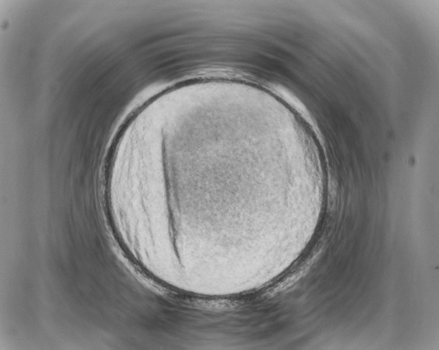 X0000086111045200704202301