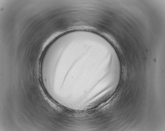 X0000086111046200704202301