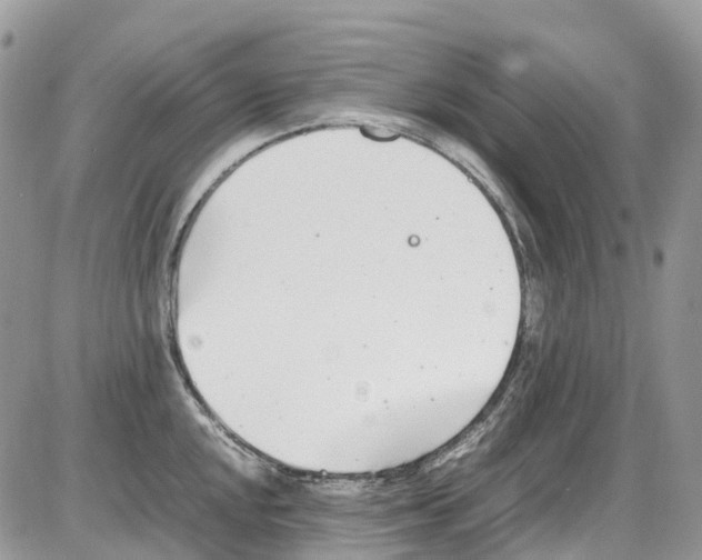 X0000086111048200704202301