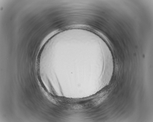 X0000086111050200704202301