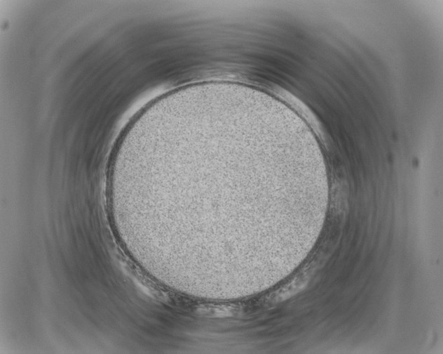 X0000086111051200704202301