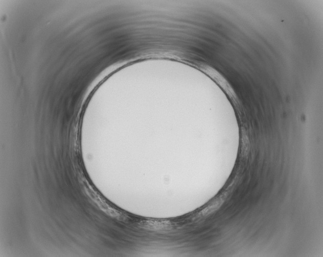 X0000086111052200704202301