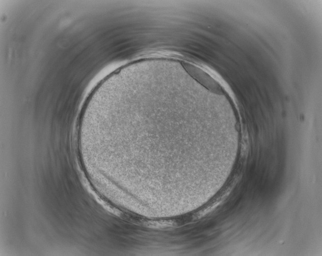 X0000086111053200704202301