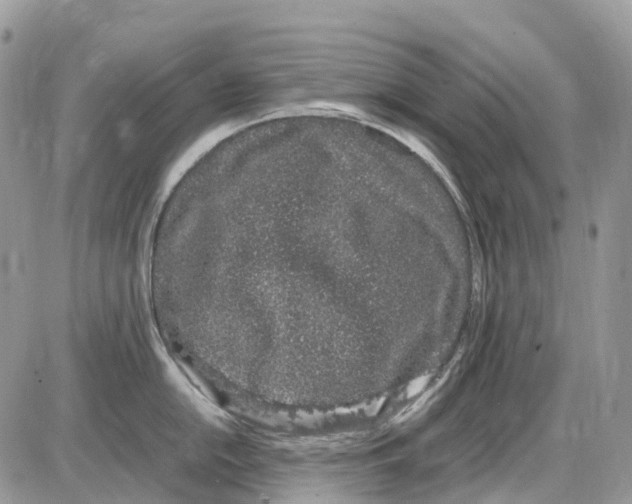 X0000086111054200704202301