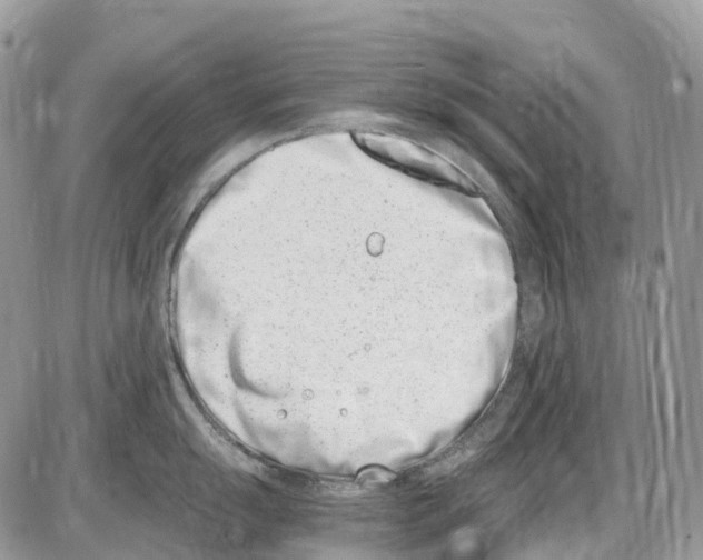 X0000086111055200704202301