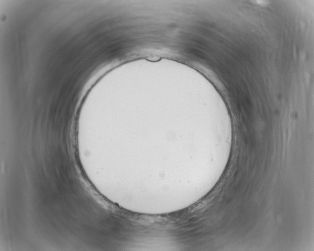 X0000086111056200704202301