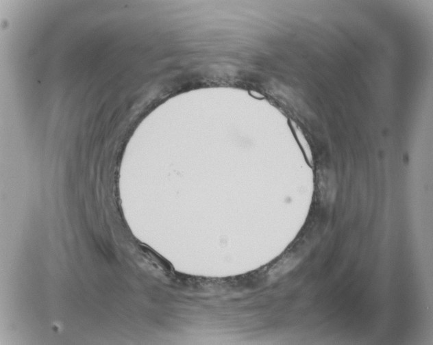 X0000086111057200704202300