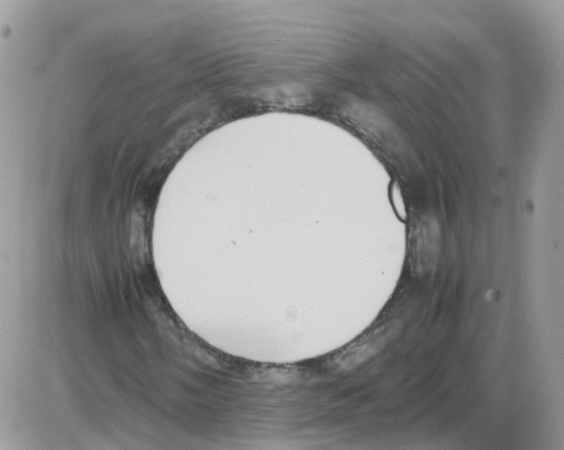 X0000086111058200704202300