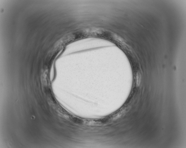 X0000086111059200704202300