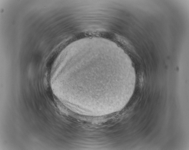 X0000086111060200704202300