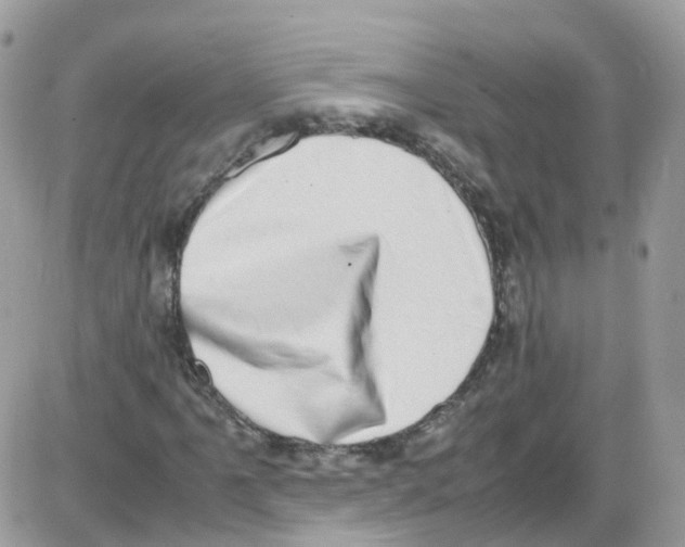 X0000086111061200704202300