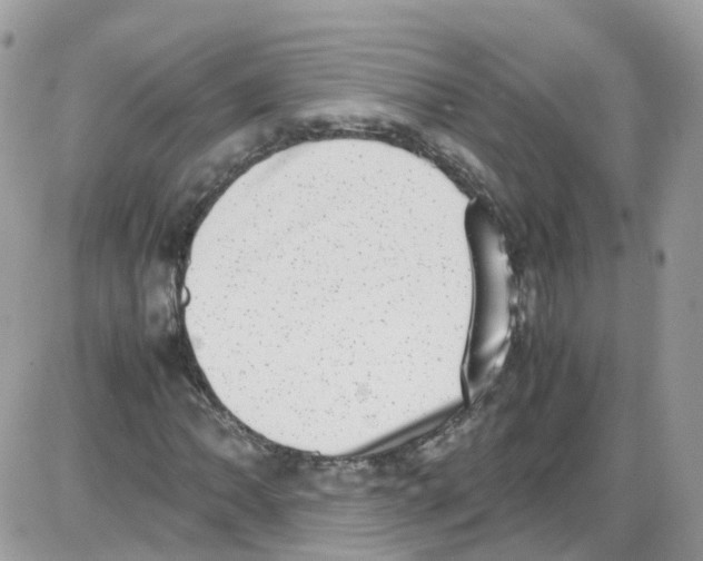 X0000086111062200704202300