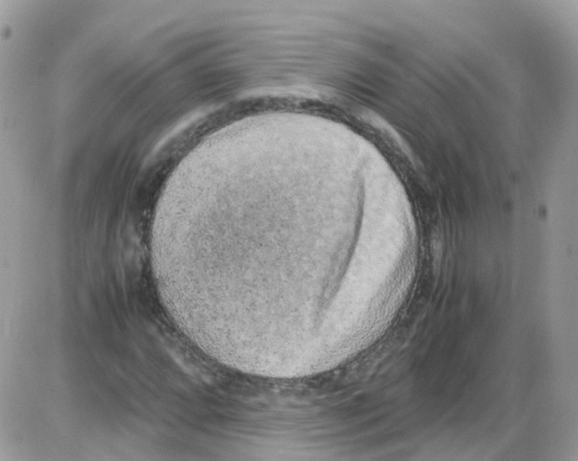 X0000086111064200704202300