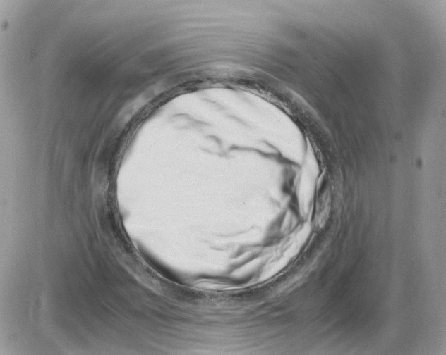 X0000086111065200704202300