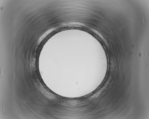 X0000086111066200704202300