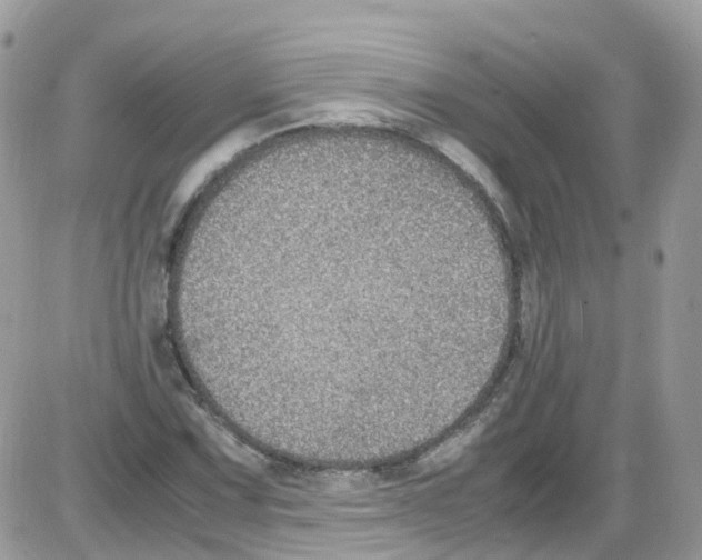 X0000086111067200704202300