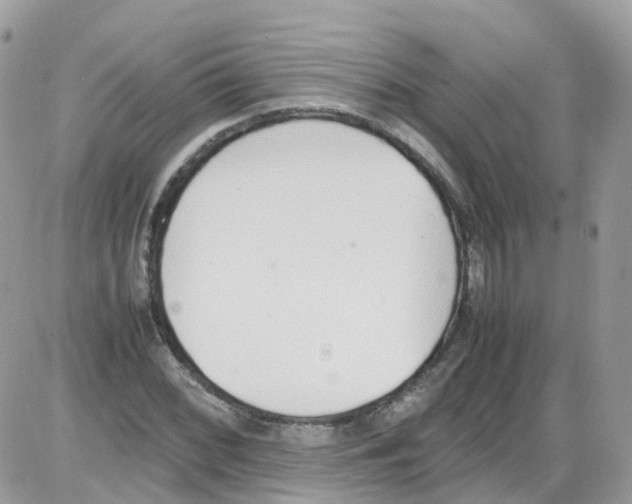 X0000086111068200704202300