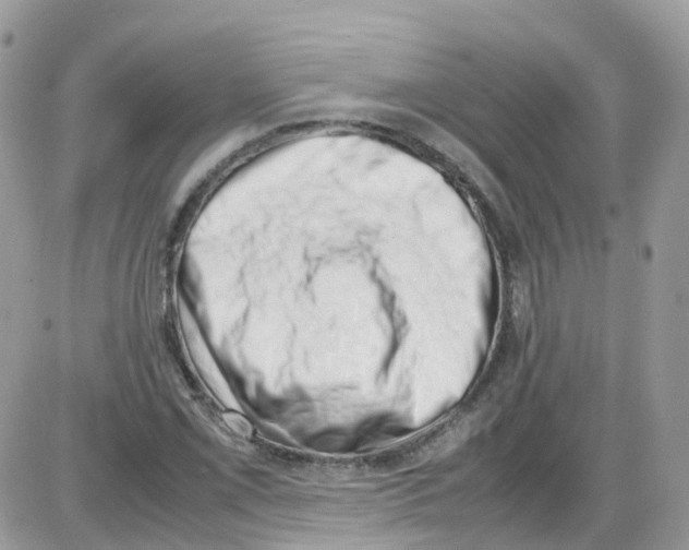 X0000086111069200704202300