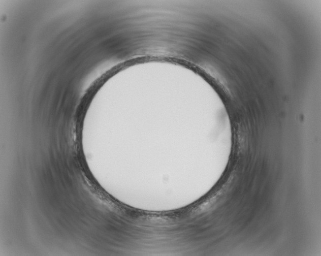 X0000086111070200704202300