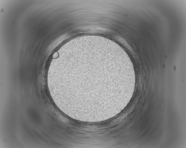 X0000086111071200704202300