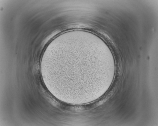 X0000086111073200704202300