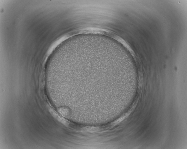 X0000086111075200704202300